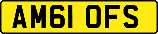 AM61OFS