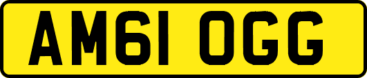 AM61OGG
