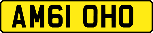 AM61OHO