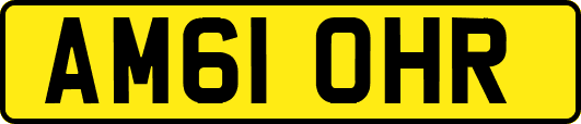 AM61OHR