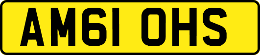 AM61OHS