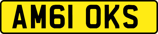 AM61OKS