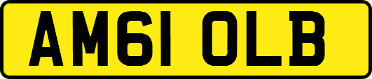 AM61OLB