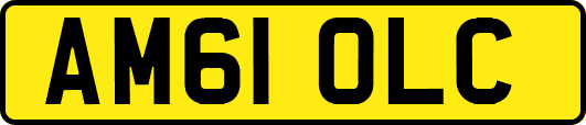 AM61OLC