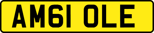 AM61OLE