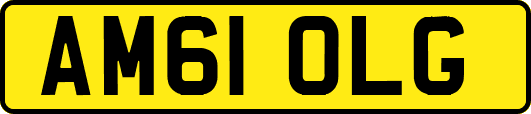 AM61OLG