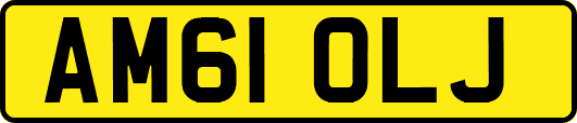 AM61OLJ