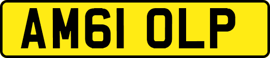 AM61OLP