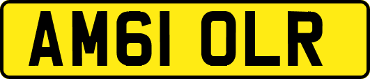 AM61OLR