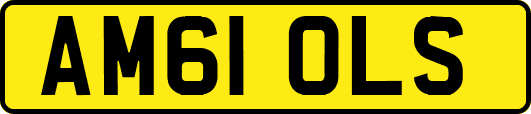 AM61OLS