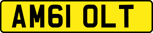 AM61OLT
