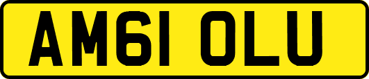 AM61OLU