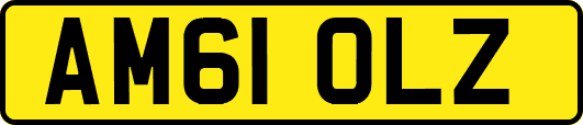AM61OLZ