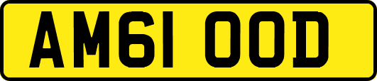 AM61OOD