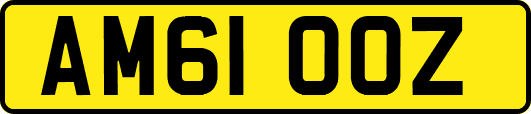 AM61OOZ