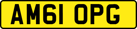 AM61OPG