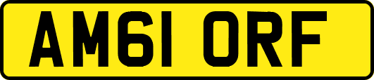 AM61ORF