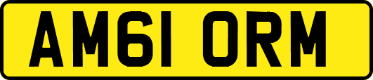AM61ORM