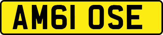 AM61OSE
