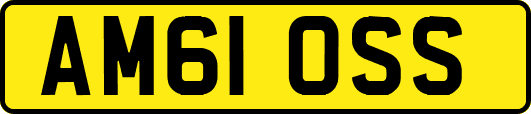AM61OSS