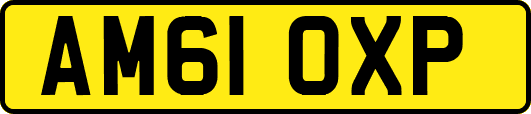 AM61OXP