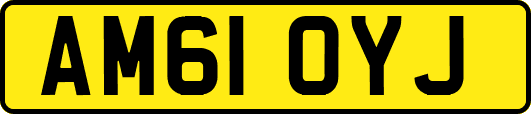 AM61OYJ