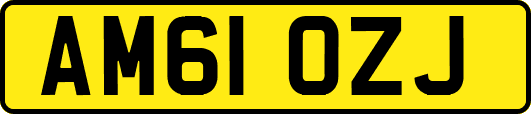 AM61OZJ