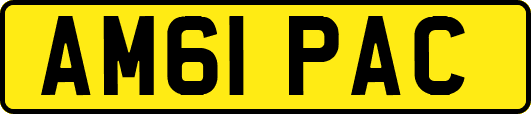 AM61PAC