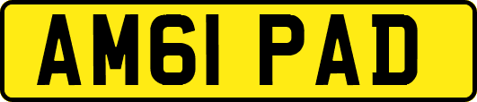 AM61PAD
