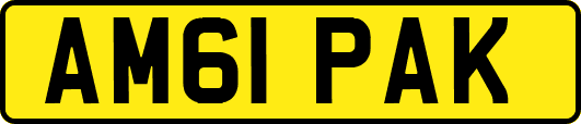 AM61PAK