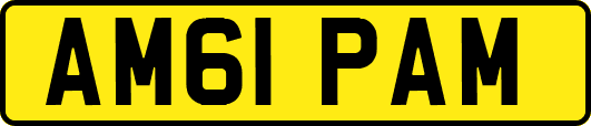 AM61PAM