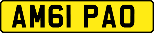AM61PAO