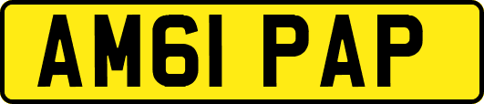 AM61PAP