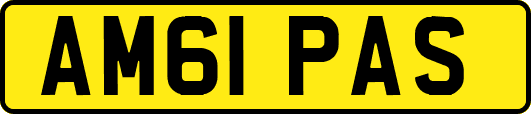 AM61PAS