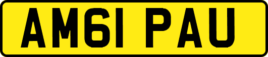 AM61PAU