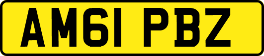 AM61PBZ