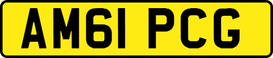 AM61PCG