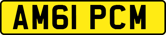 AM61PCM