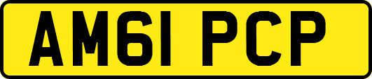 AM61PCP