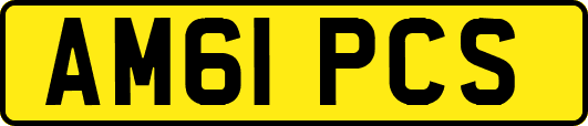 AM61PCS