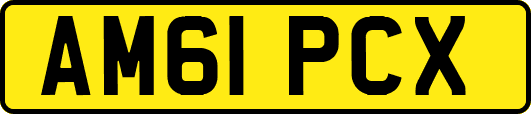 AM61PCX