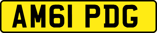 AM61PDG