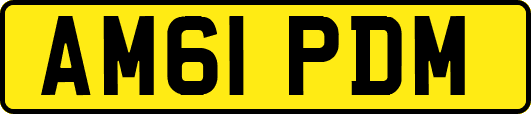 AM61PDM