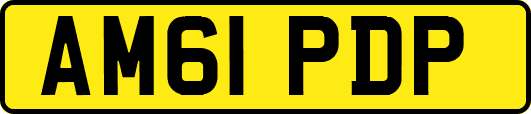 AM61PDP