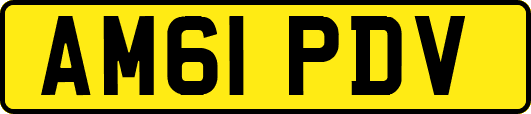 AM61PDV
