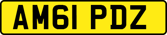 AM61PDZ