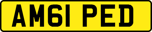 AM61PED