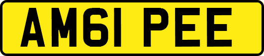 AM61PEE