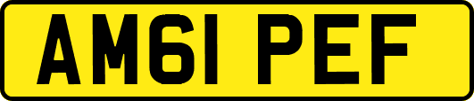 AM61PEF