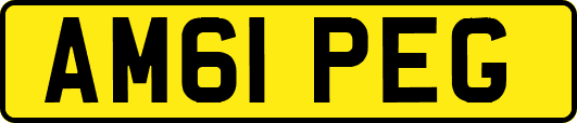 AM61PEG